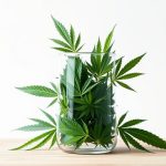 how to make cannabis oil for pain